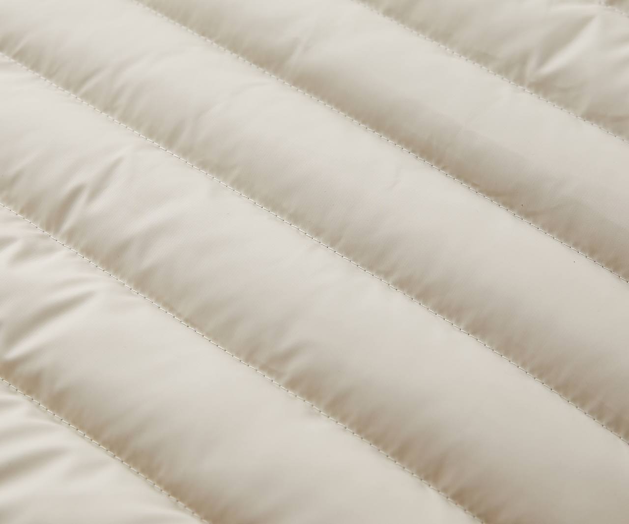 IMG_20241102_193240_281