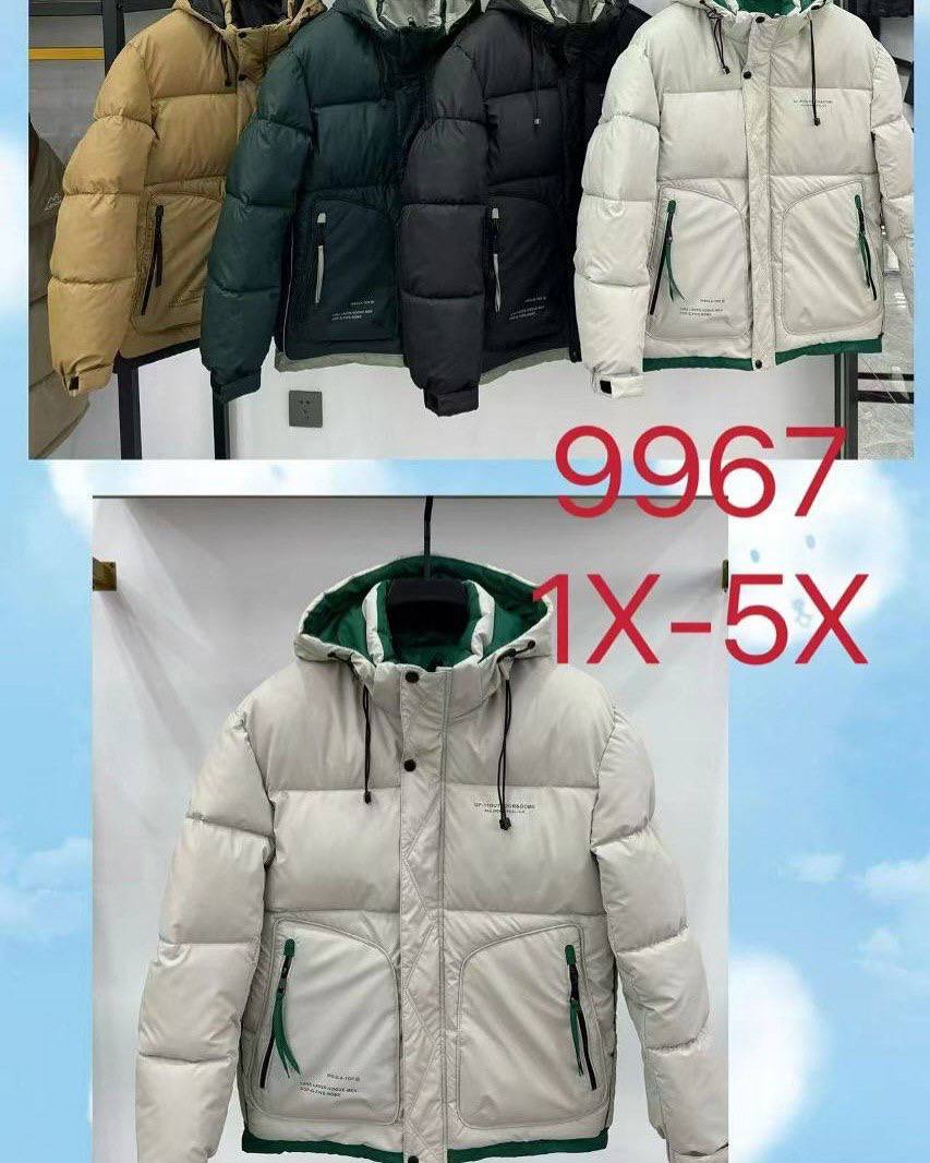 photo_10_2025-08-28_16-46-45